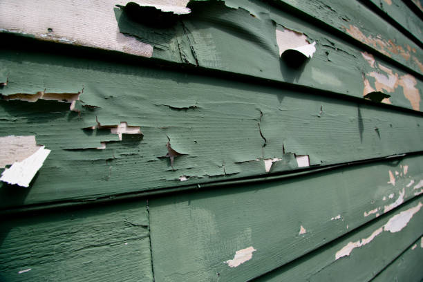 Best Weatherproofing and Sealing  in Pine Hills, CA