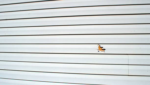 Best Siding Painting and Refinishing  in Pine Hills, CA