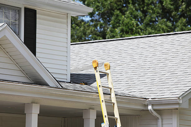 Best Aluminum Siding Installation  in Pine Hills, CA
